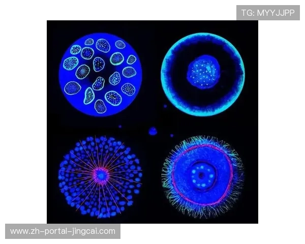 微观拍摄技术普及，赛事细节呈现维度扩充